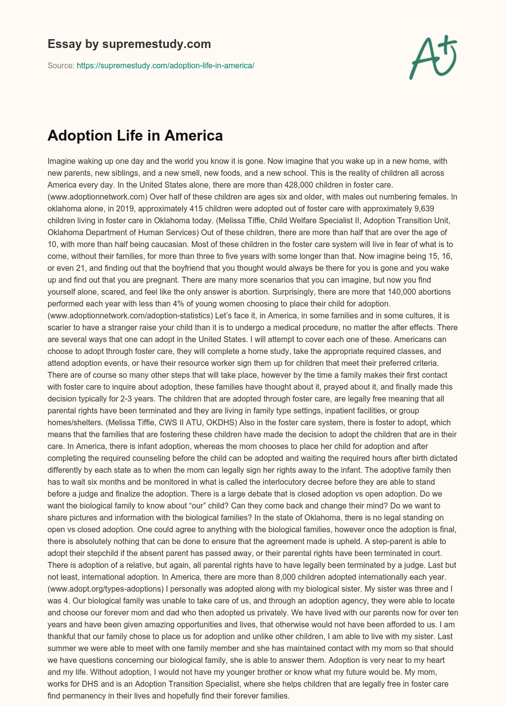 Adoption Life in America essay