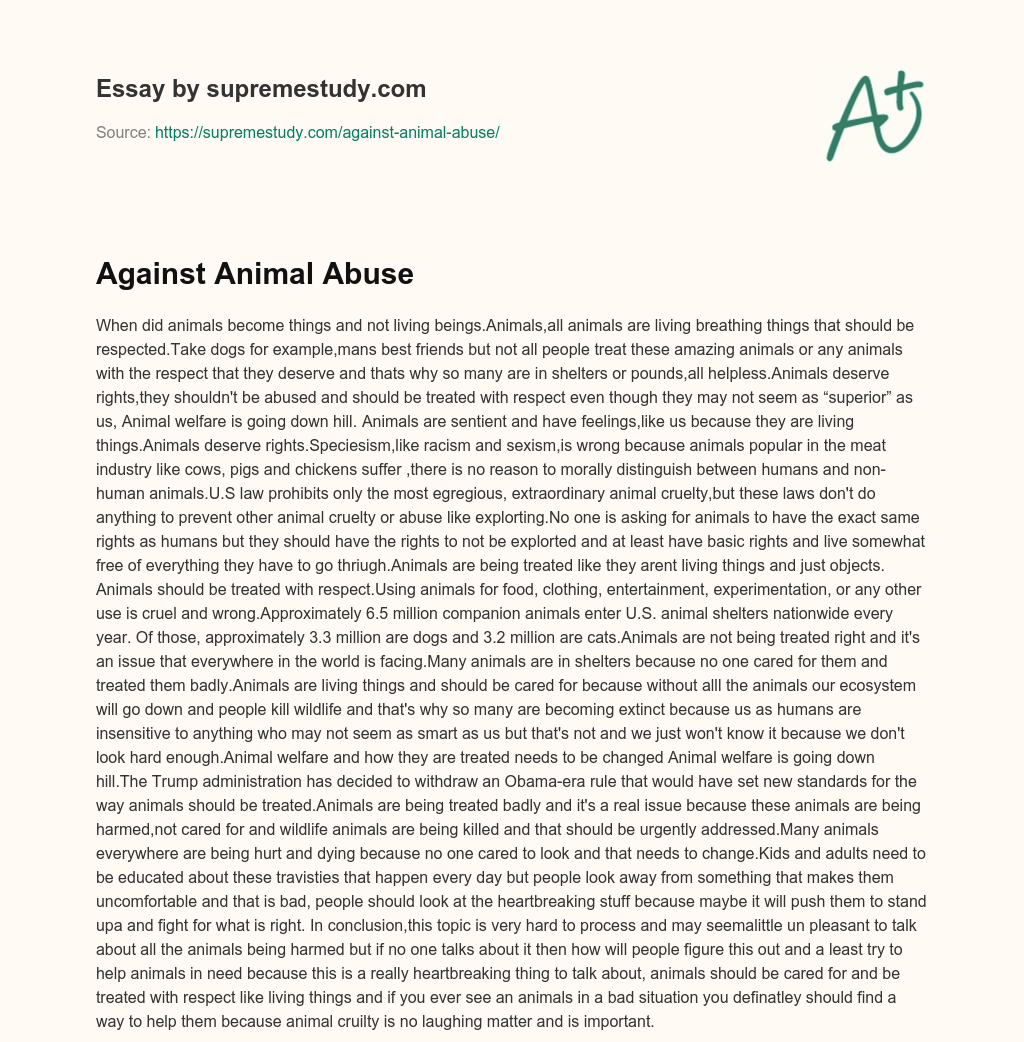 Against Animal Abuse essay