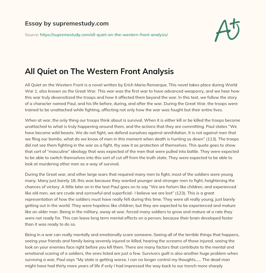 All Quiet on The Western Front Analysis essay