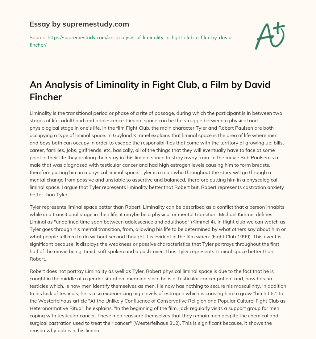 An Analysis of Liminality in Fight Club, a Film by David Fincher essay