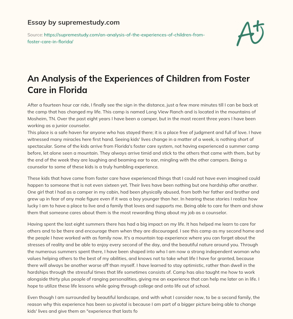 An Analysis of the Experiences of Children from Foster Care in Florida essay