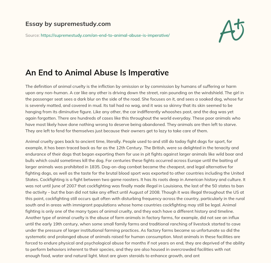 An End to Animal Abuse Is Imperative essay