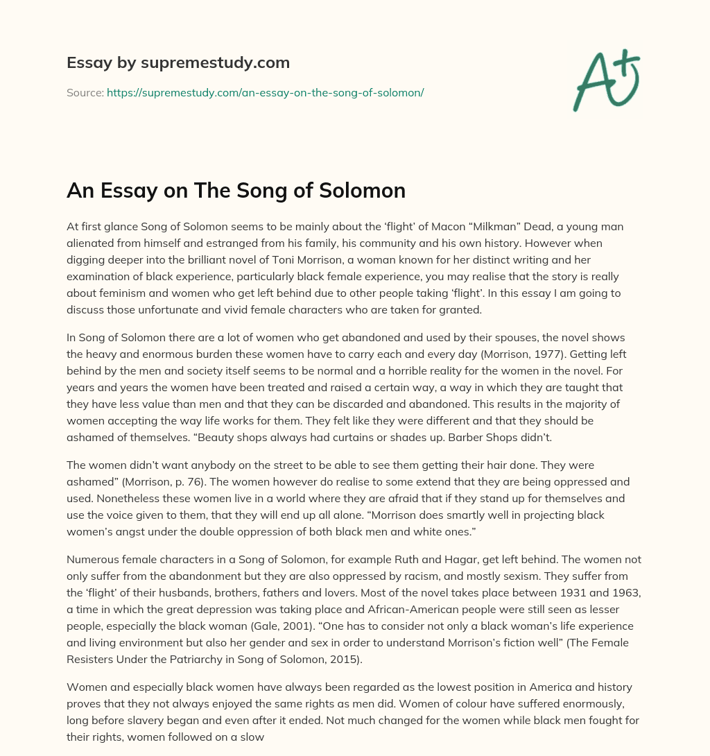 An Essay on The Song of Solomon essay