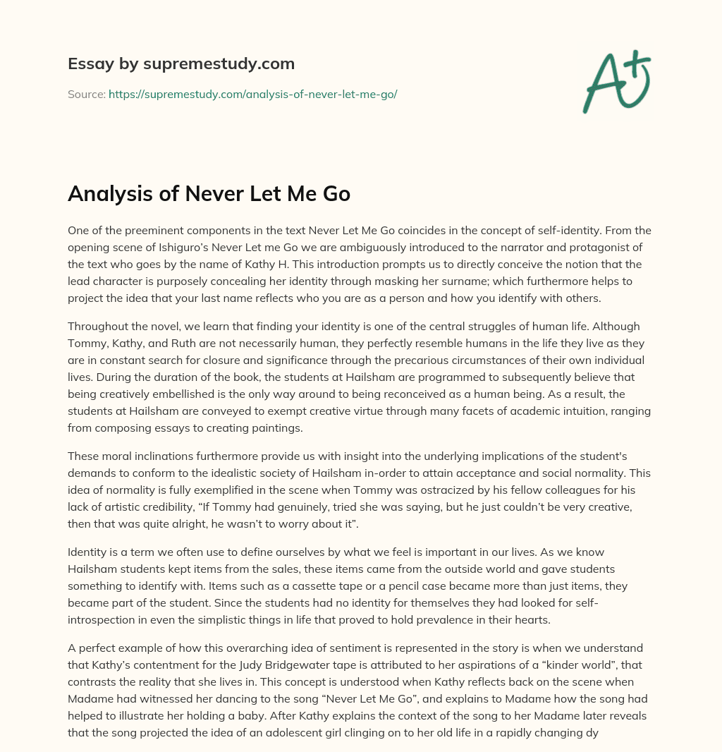 Analysis of Never Let Me Go essay