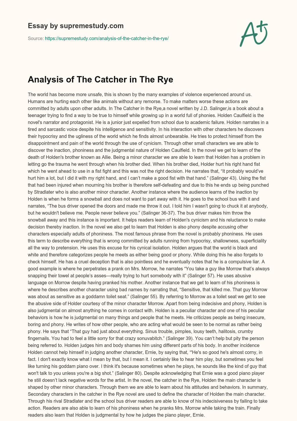 Analysis of The Catcher in The Rye essay