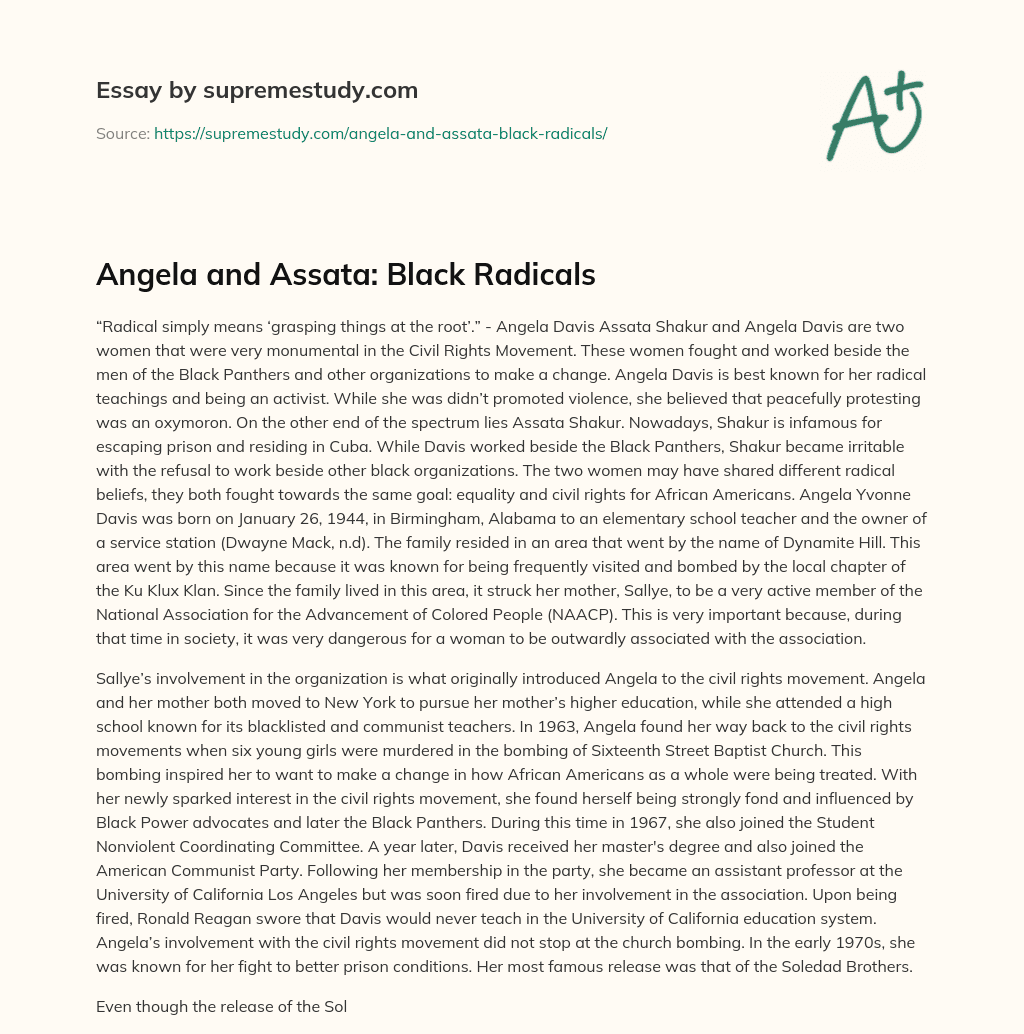 Angela and Assata: Black Radicals essay