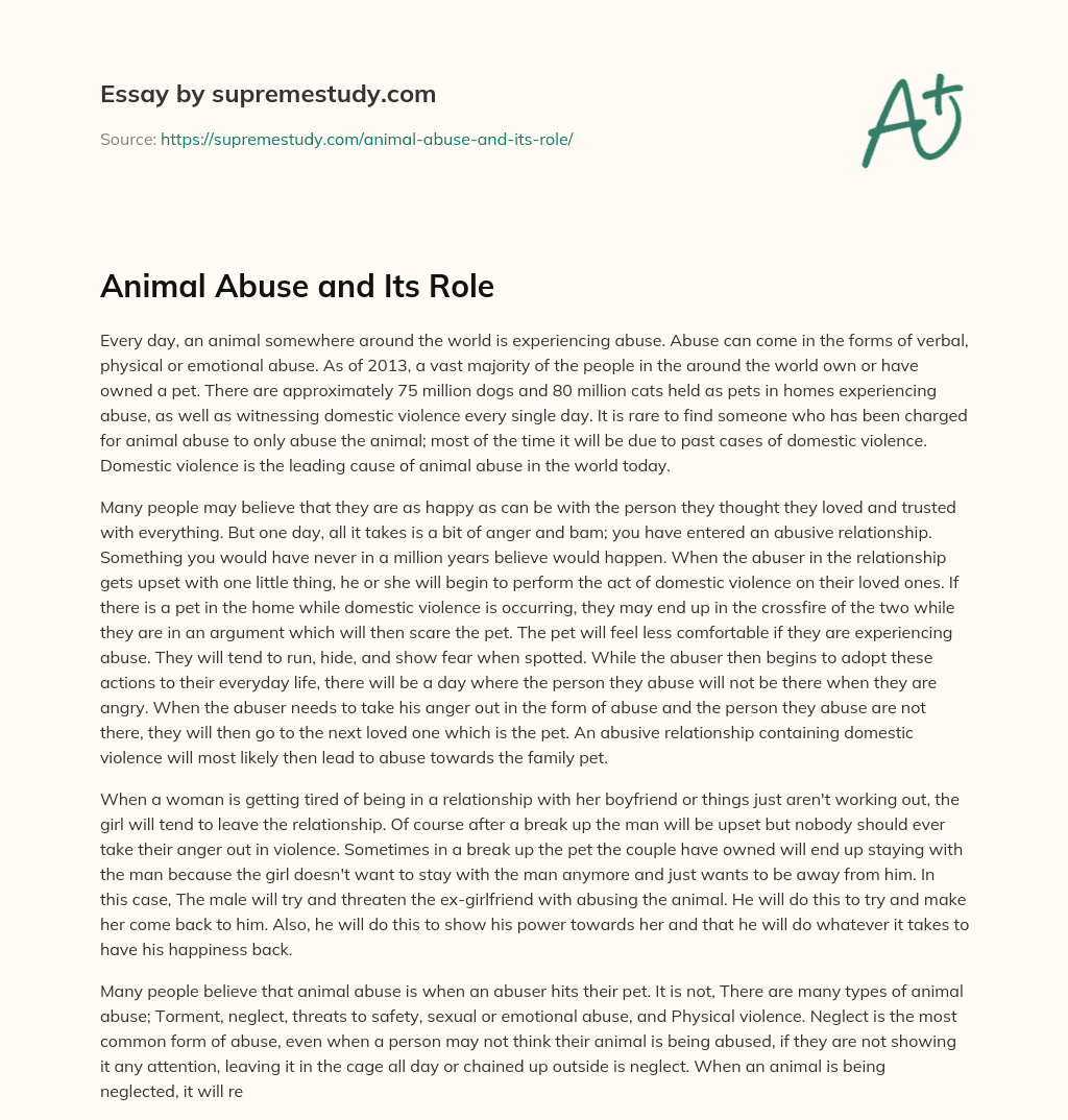 animal abuse essay 300 words