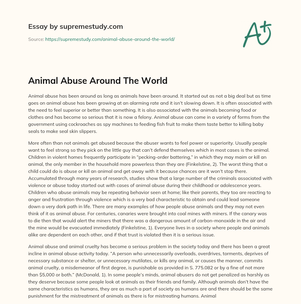 animal abuse informative essay