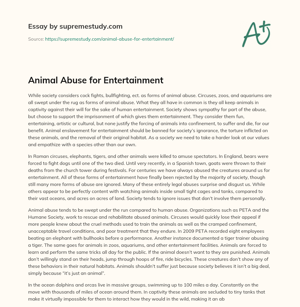 Animal Abuse for Entertainment essay