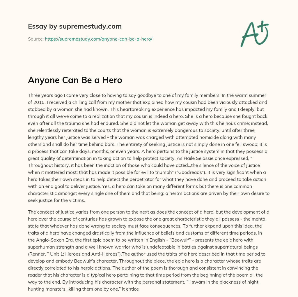 Anyone Can Be a Hero essay
