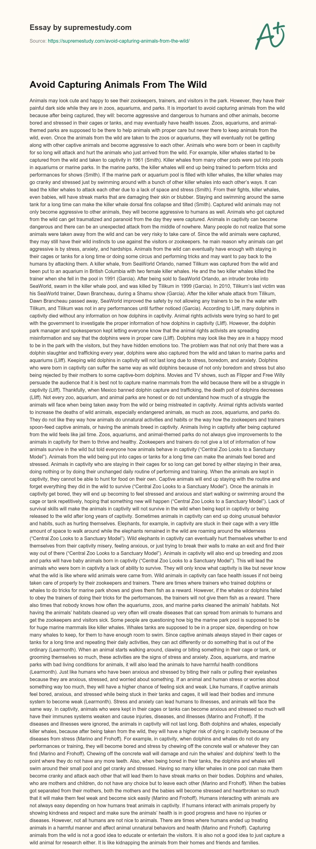Avoid Capturing Animals From The Wild essay