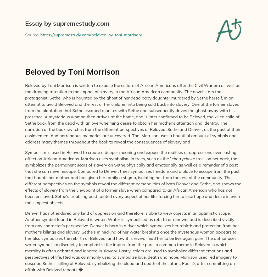 Beloved by Toni Morrison essay