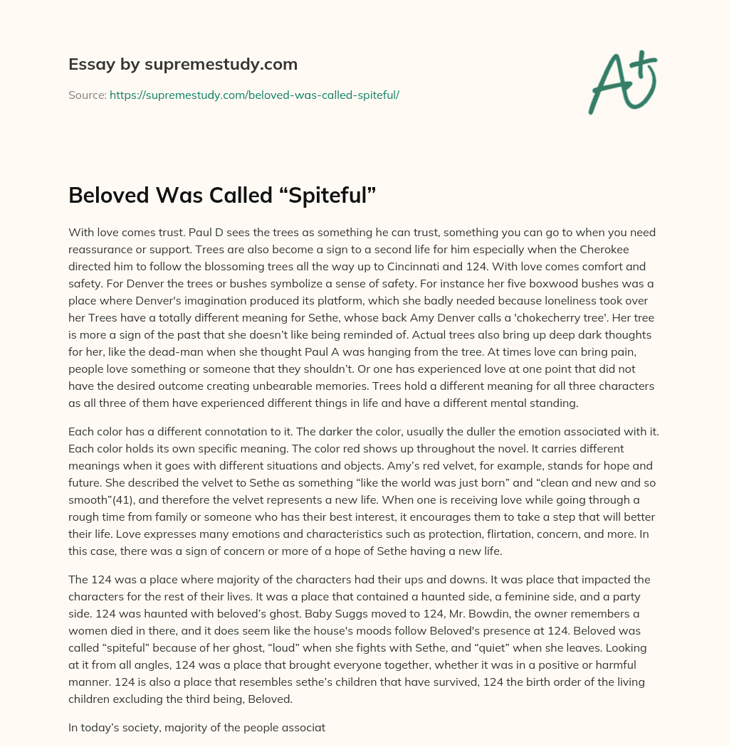Beloved Was Called “Spiteful” essay