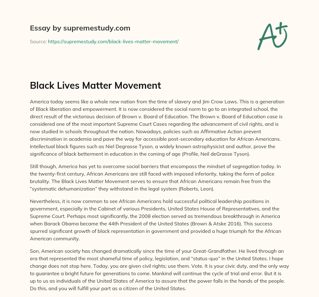 Black Lives Matter Movement essay