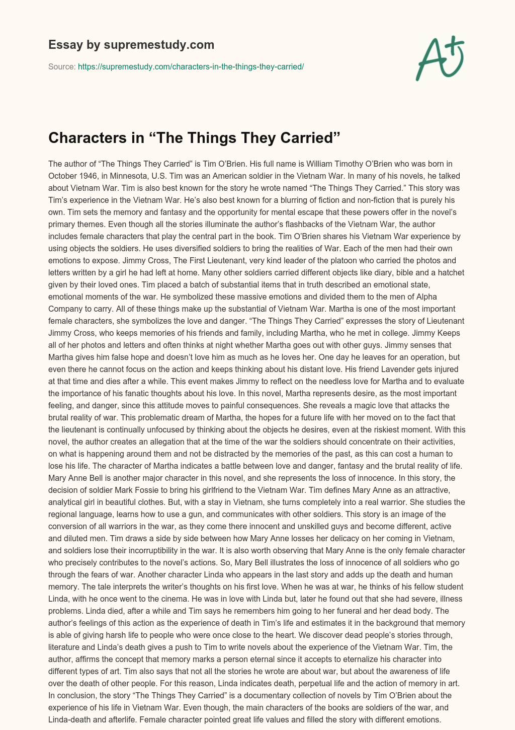 the things they carried essay ideas