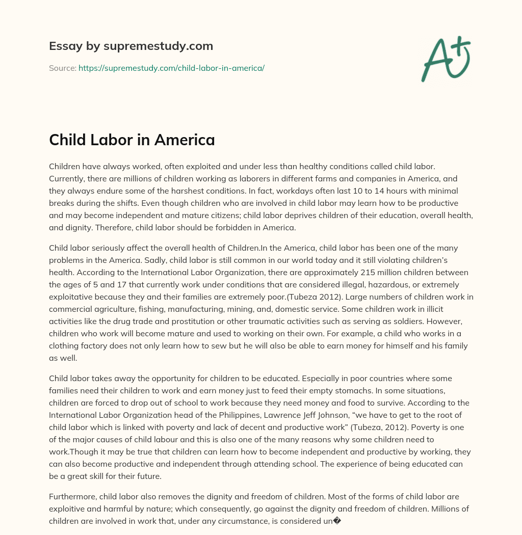 Child Labor in America essay