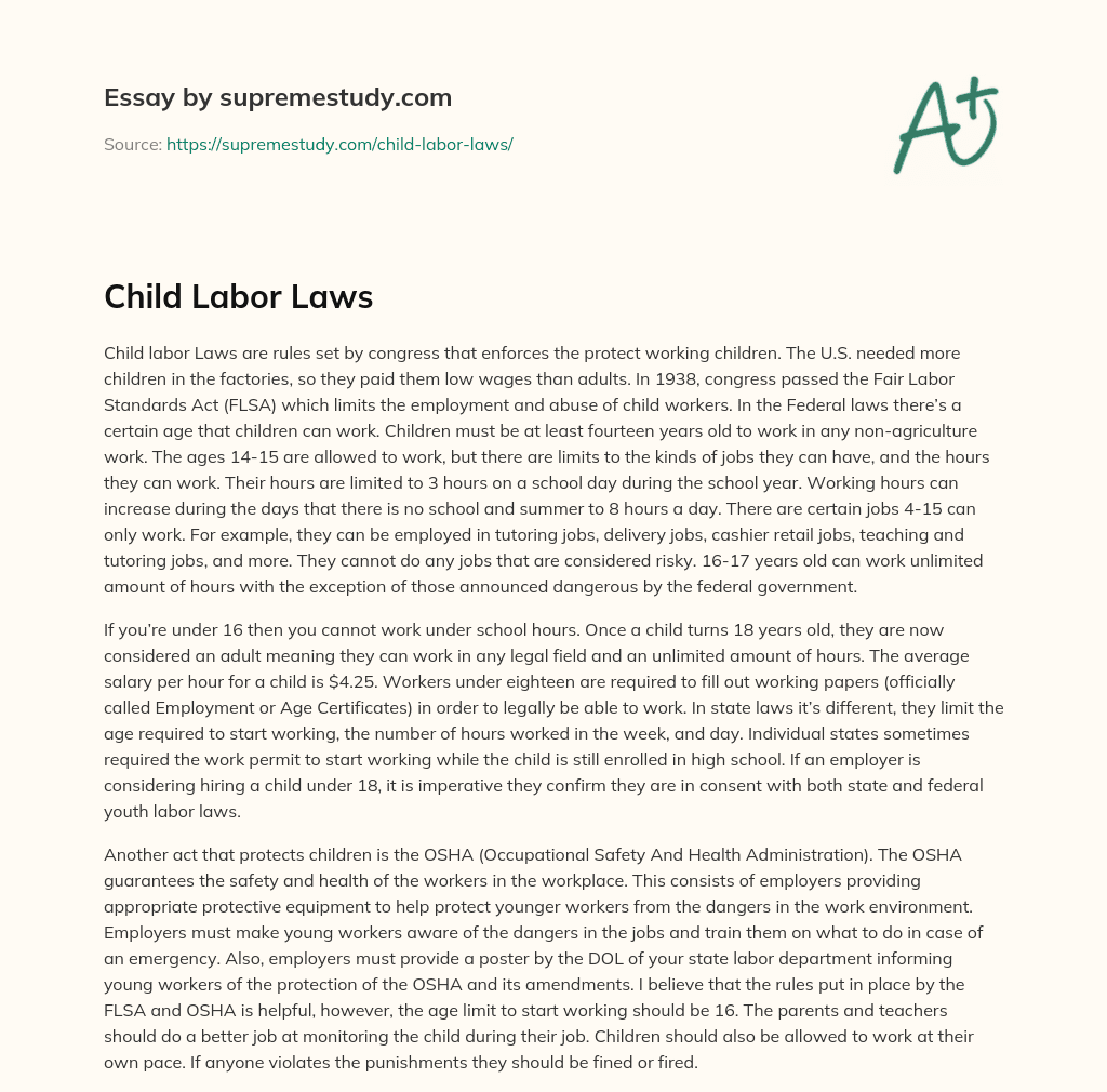 essay on child labor law