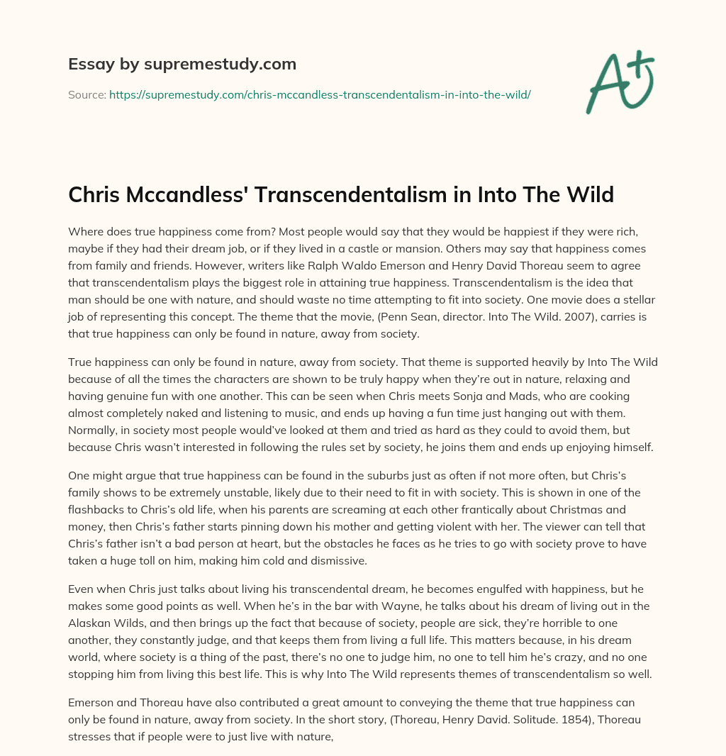 Chris Mccandless’ Transcendentalism in Into The Wild essay