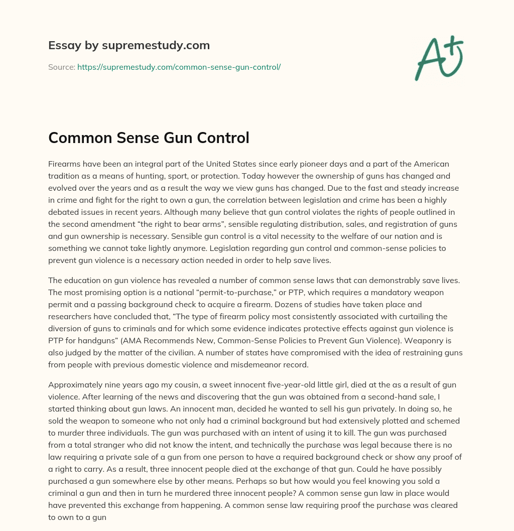 Common Sense Gun Control essay