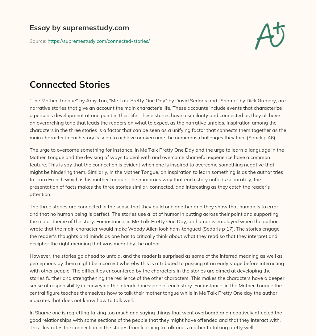 Connected Stories essay