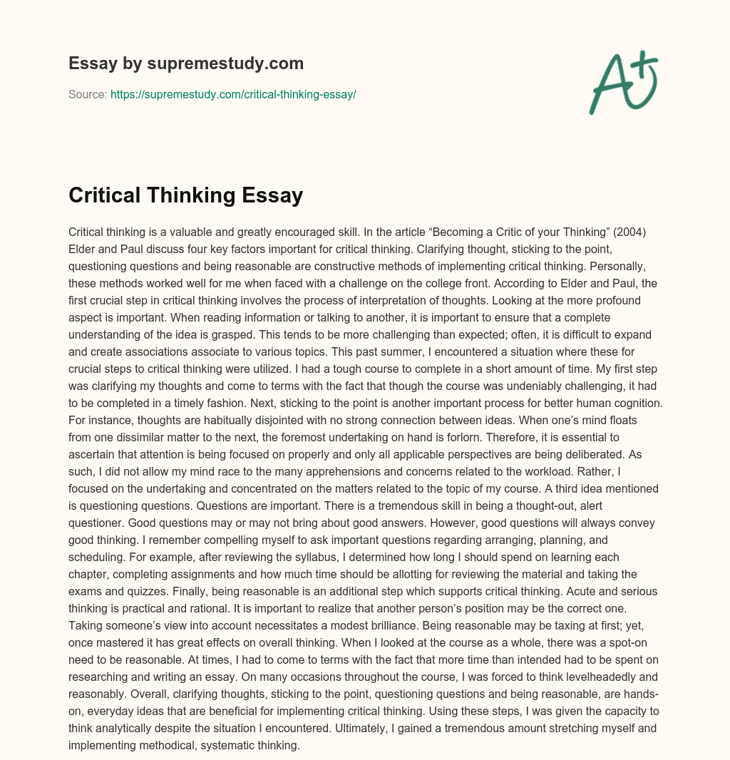 Critical Thinking Essay essay