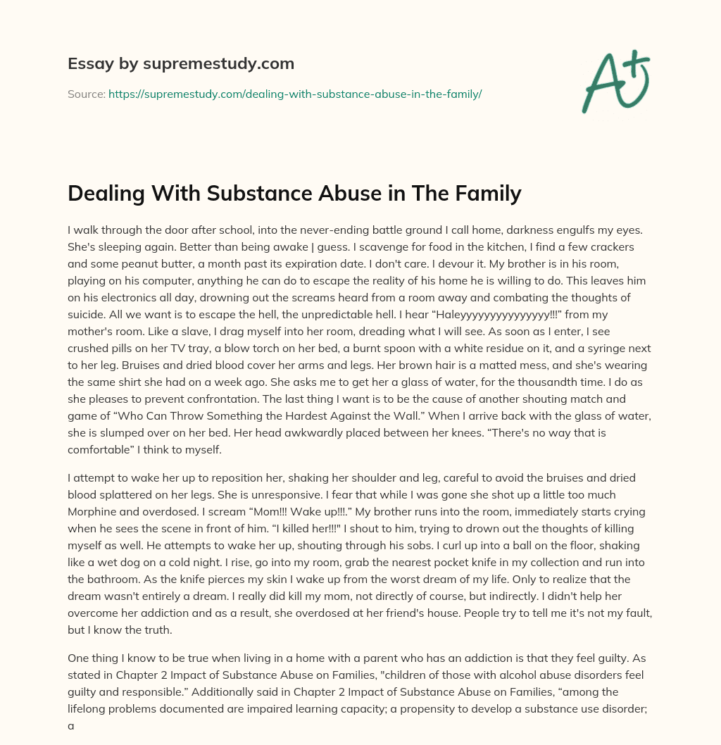 Dealing With Substance Abuse in The Family essay
