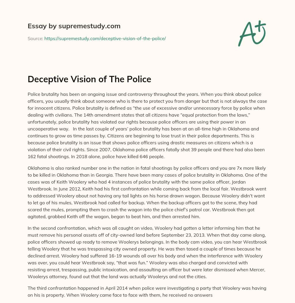 Deceptive Vision of The Police essay