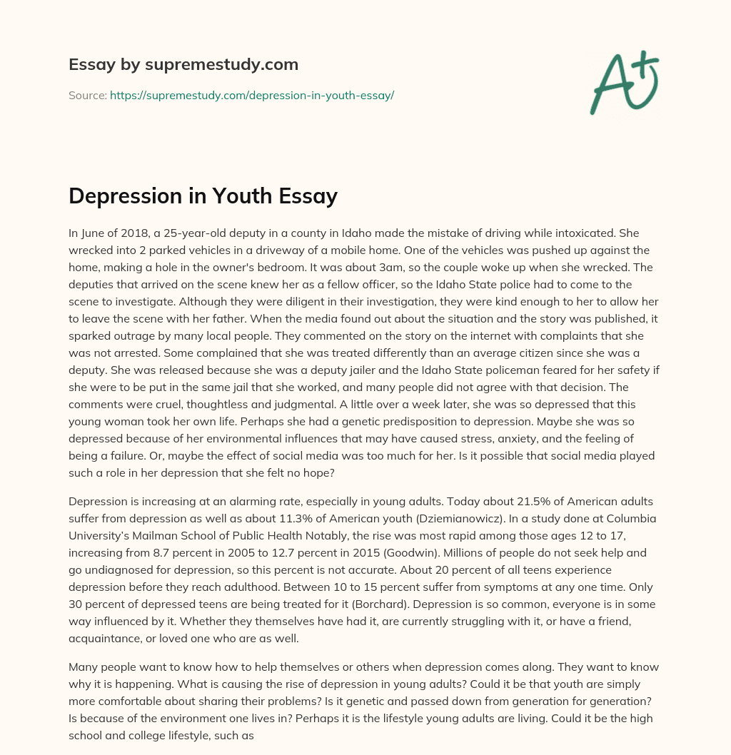 essay on youth depression