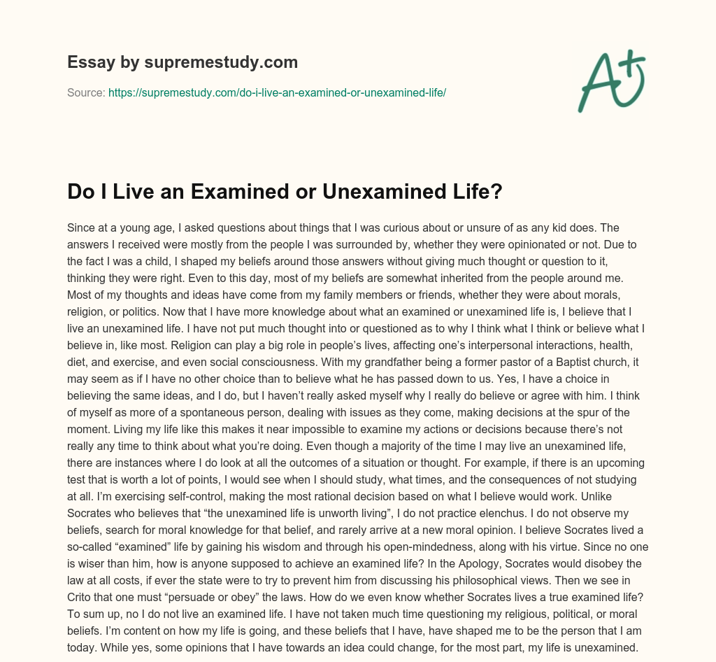 Do I Live an Examined or Unexamined Life? essay