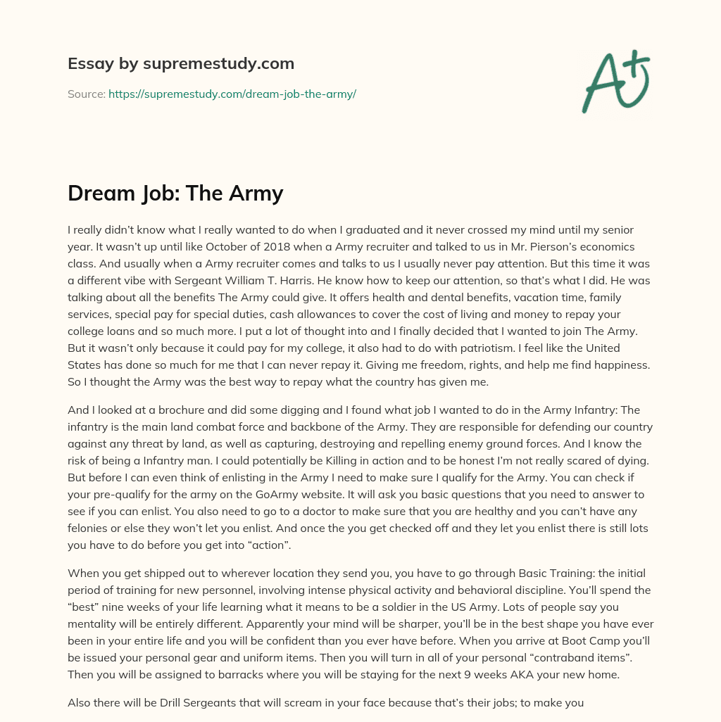 Dream Job: The Army essay