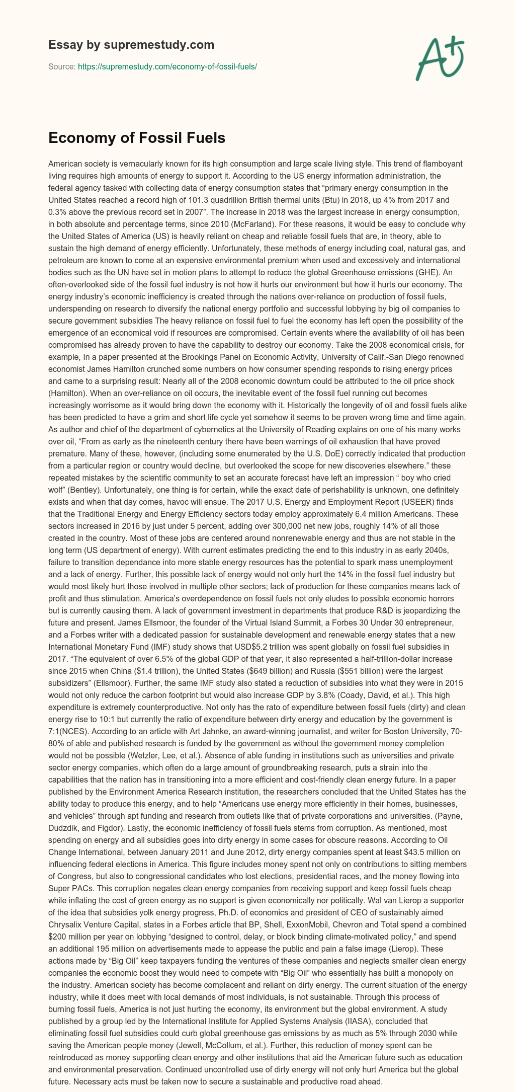 Economy of Fossil Fuels essay