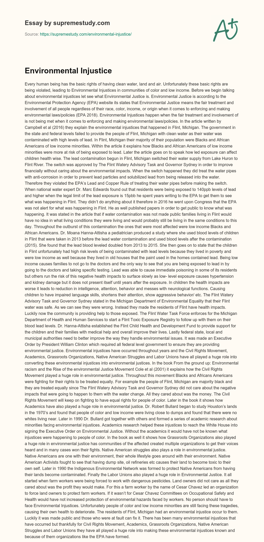 Environmental Injustice  essay