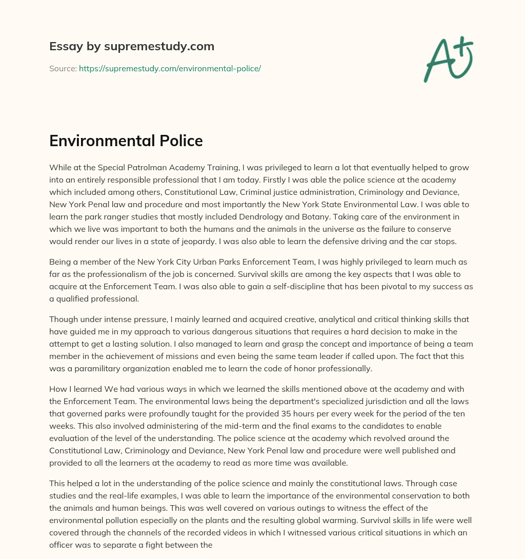 Environmental Police essay