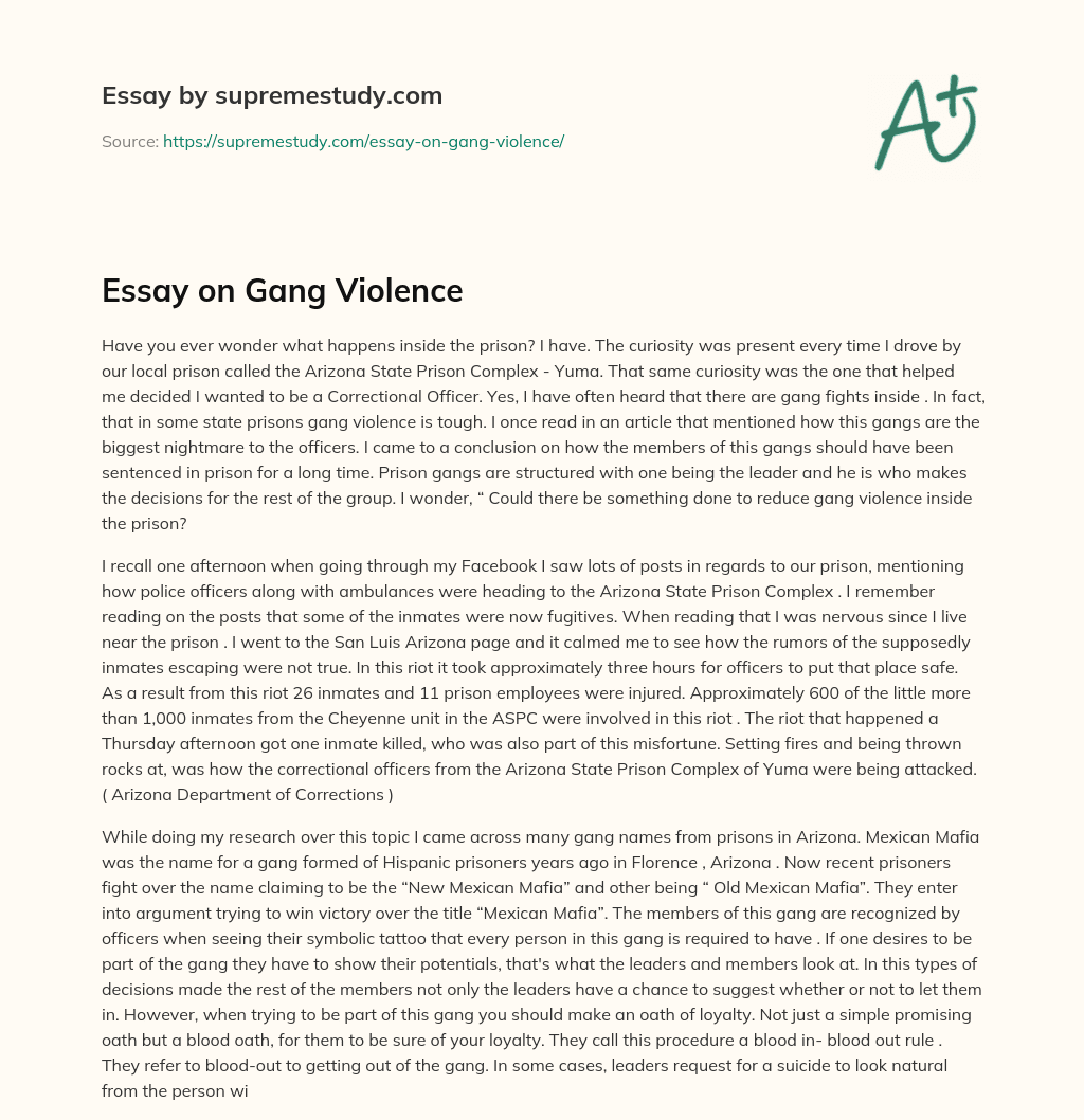Essay on Gang Violence essay