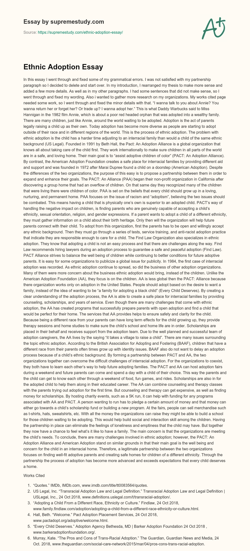 Ethnic Adoption Essay essay