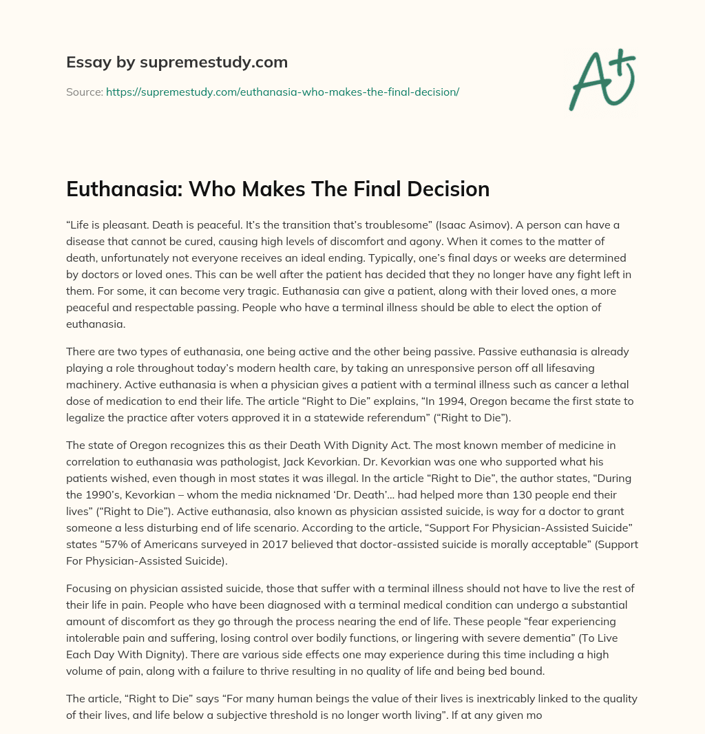 Euthanasia: Who Makes The Final Decision essay