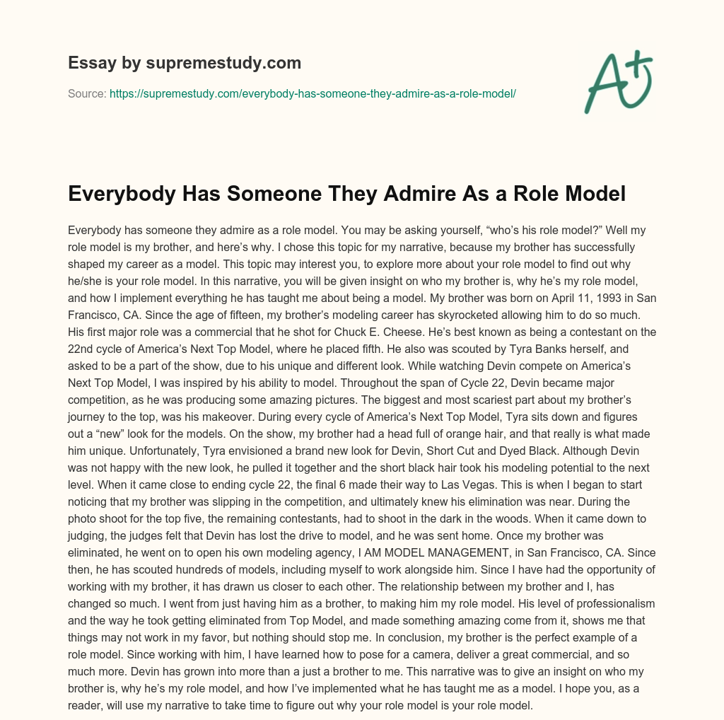 Everybody Has Someone They Admire As a Role Model essay