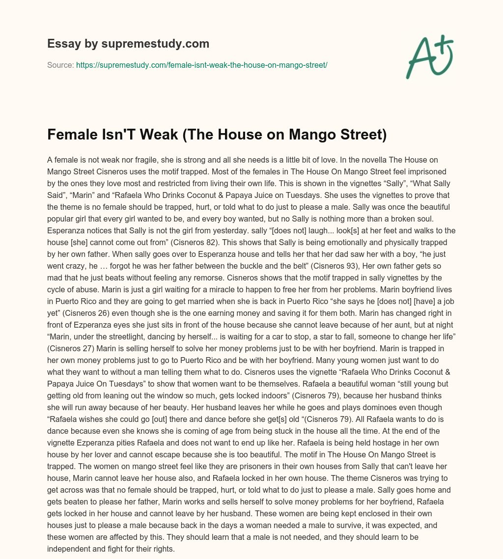 Female Isn’T Weak (The House on Mango Street) essay