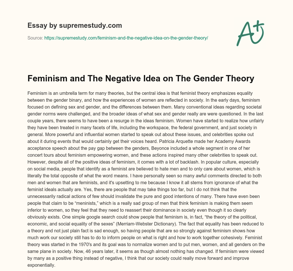 Feminism and The Negative Idea on The Gender Theory essay
