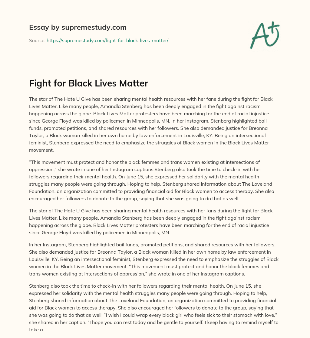 Fight for Black Lives Matter essay