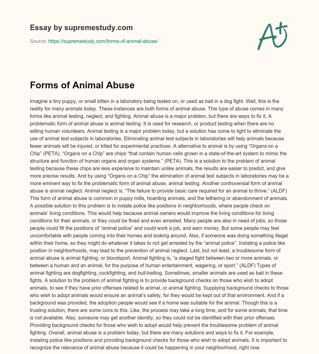 introduction of animal abuse essay