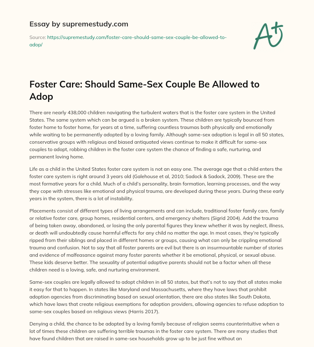 Foster Care: Should Same-Sex Couple Be Allowed to Adop essay