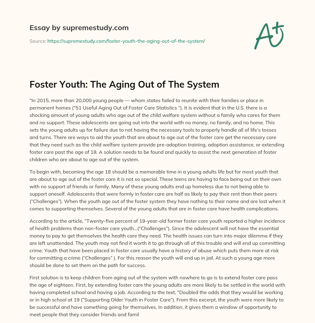 Foster Youth: The Aging Out of The System essay
