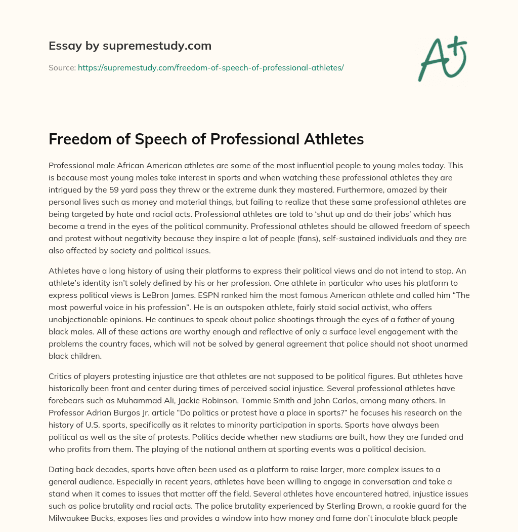 Freedom of Speech of Professional Athletes essay