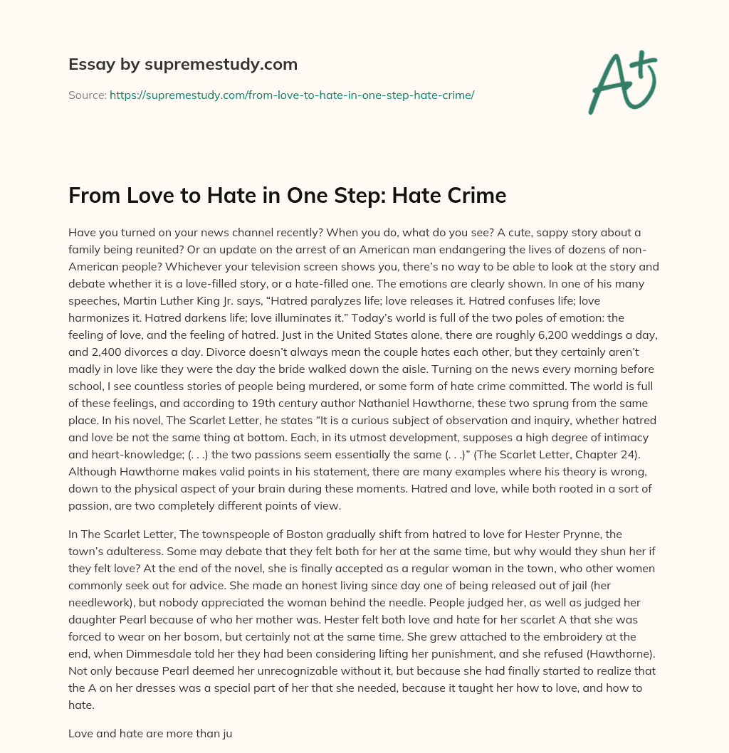 From Love to Hate in One Step: Hate Crime essay