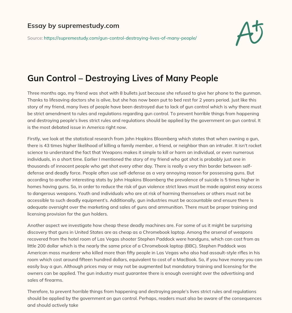 Gun Control – Destroying Lives of Many People essay
