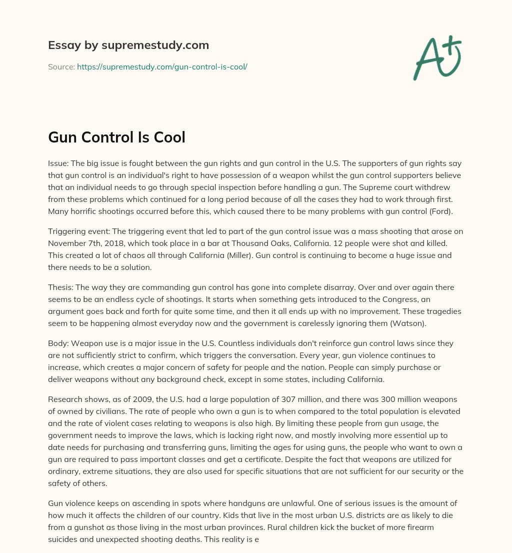 Gun Control Is Cool essay