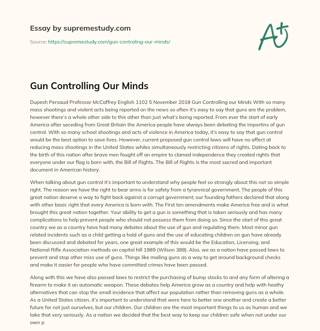 Gun Controlling Our Minds essay