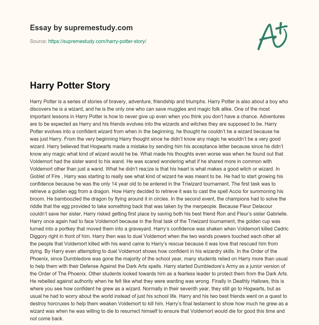 Harry Potter Story essay