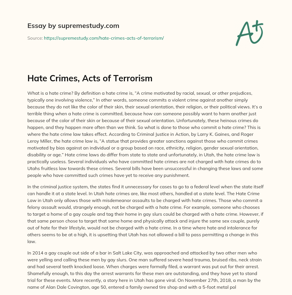 Hate Crimes, Acts of Terrorism essay